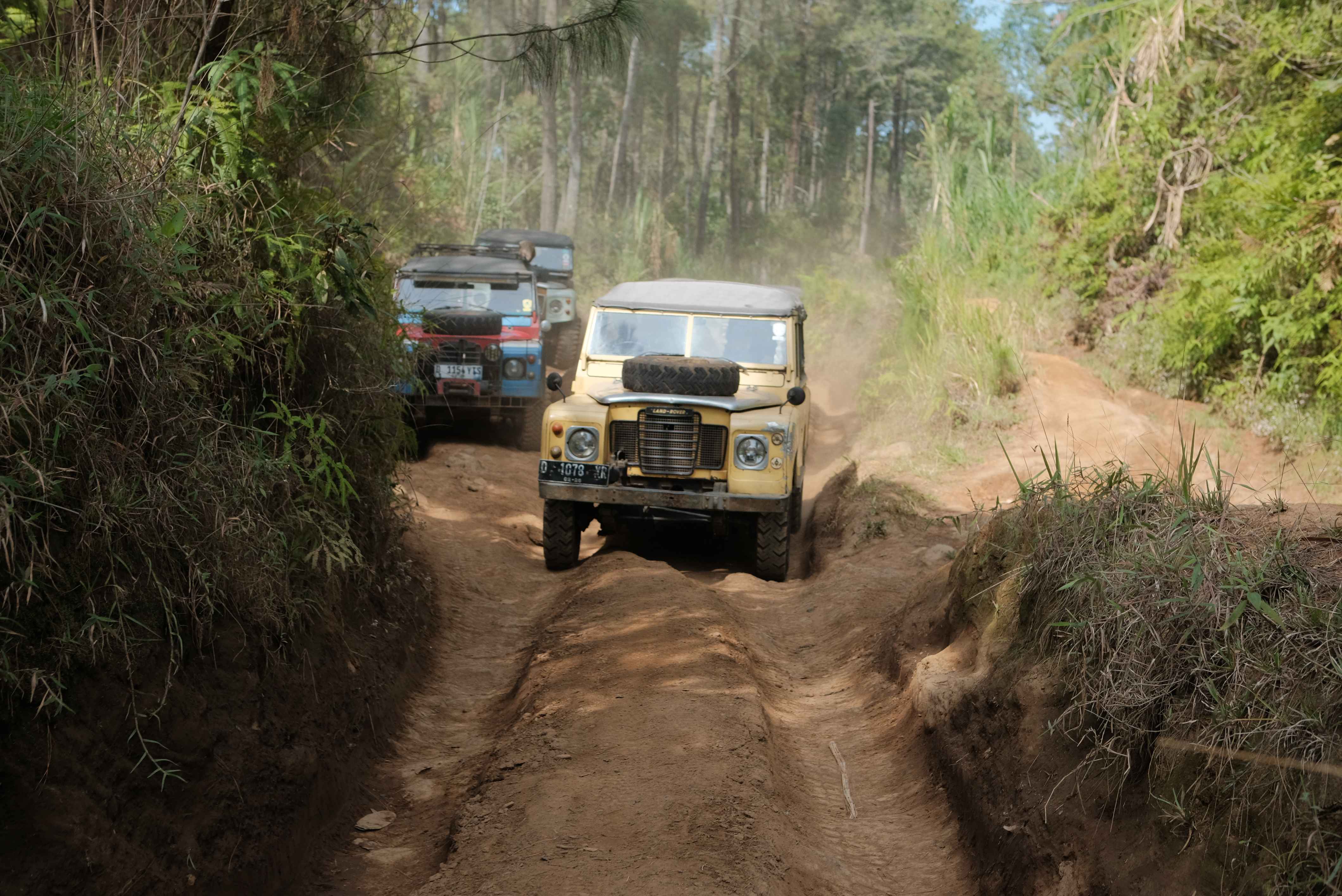 Pemandangan alam gathering